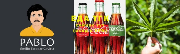 молекула духа Балахна